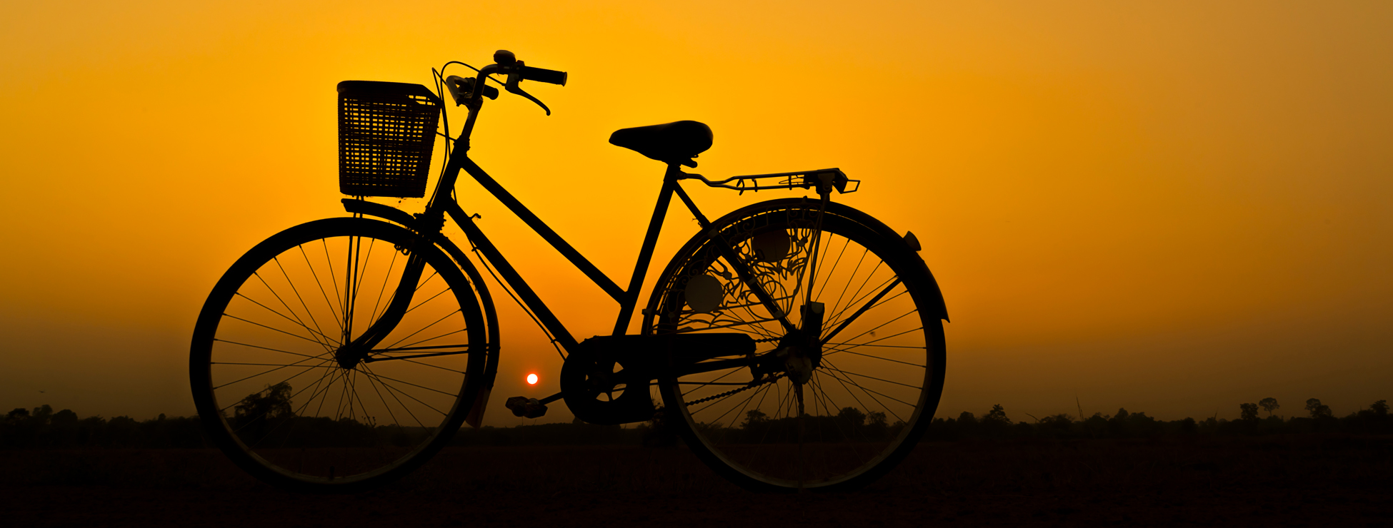 Seguro de Bicicleta