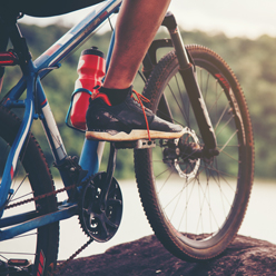 Seguro para Bicicleta